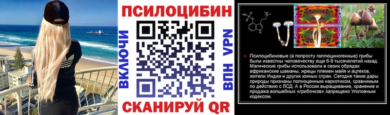 Галлюциногенные грибы MAGIC MUSHROOMS  сколько стоит  Нерюнгри 